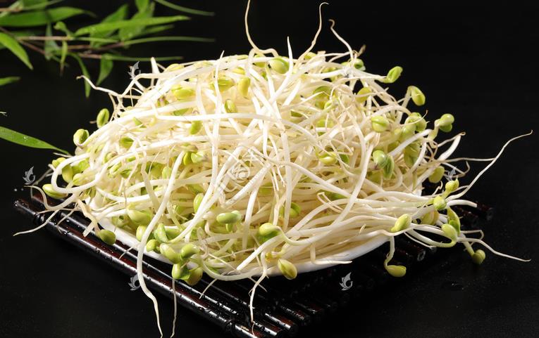 無公害綠色豆芽，怎么生產(chǎn)出來的？全套生產(chǎn)過程如此方便智能